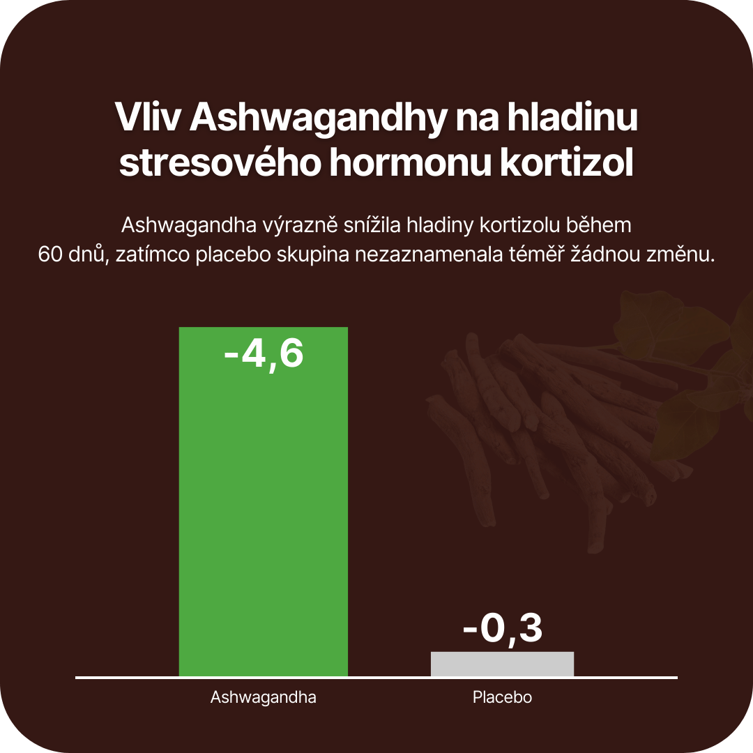 infografika